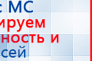 СКЭНАР-1-НТ (исполнение 02.3) Скэнар Про купить в Ачинске, Аппараты Скэнар купить в Ачинске, Скэнар официальный сайт - denasvertebra.ru