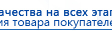 Электрод Скэнар - лицевой двойной Пешки купить в Ачинске, Электроды Скэнар купить в Ачинске, Скэнар официальный сайт - denasvertebra.ru