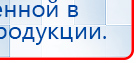 Пояс электрод купить в Ачинске, Электроды Меркурий купить в Ачинске, Скэнар официальный сайт - denasvertebra.ru
